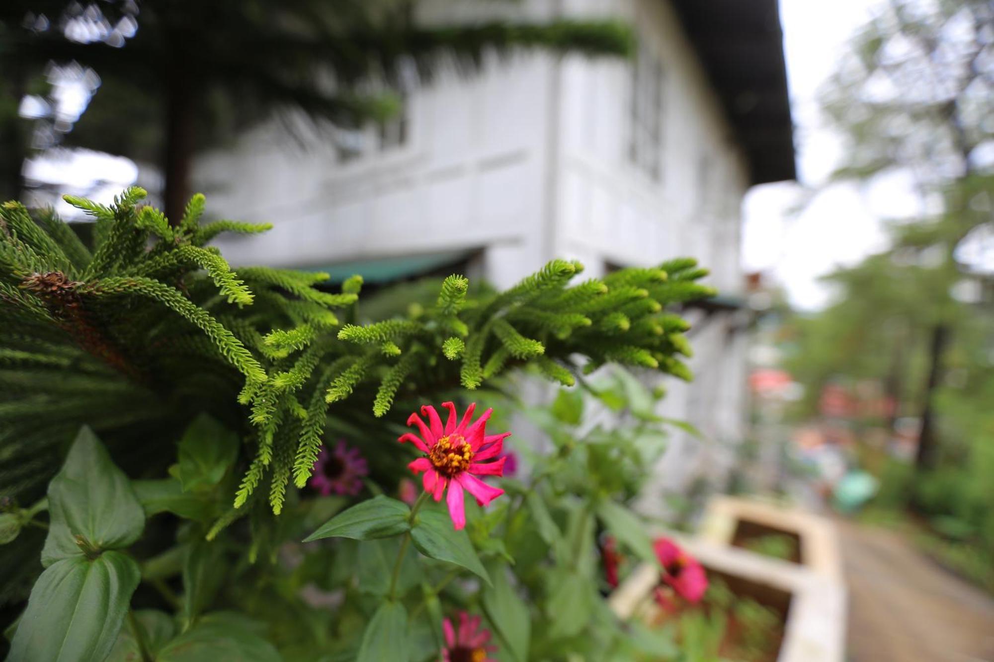 Casa Vallejo Hotel Baguio Baguio City Kültér fotó